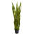 Sansevieria Artificial Plant