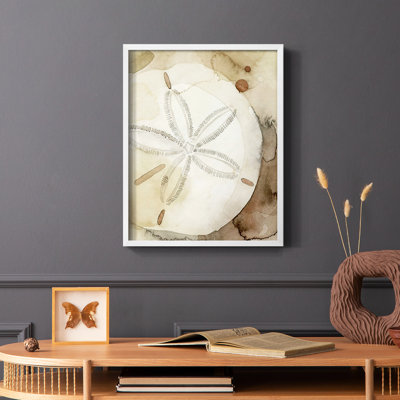 Dry Sand Dollar I, reproduction encadrée - bois massif