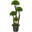 90Cm Artificial Boxwood Topiary in Planter
