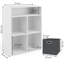Blaykelee Bookcase