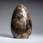 Genuine Polished Black Moonstone Freeform from Madagascar (3.2 Lbs)-1270292990-1270293599