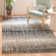 Riebe Abstract Silver/Black Area Rug