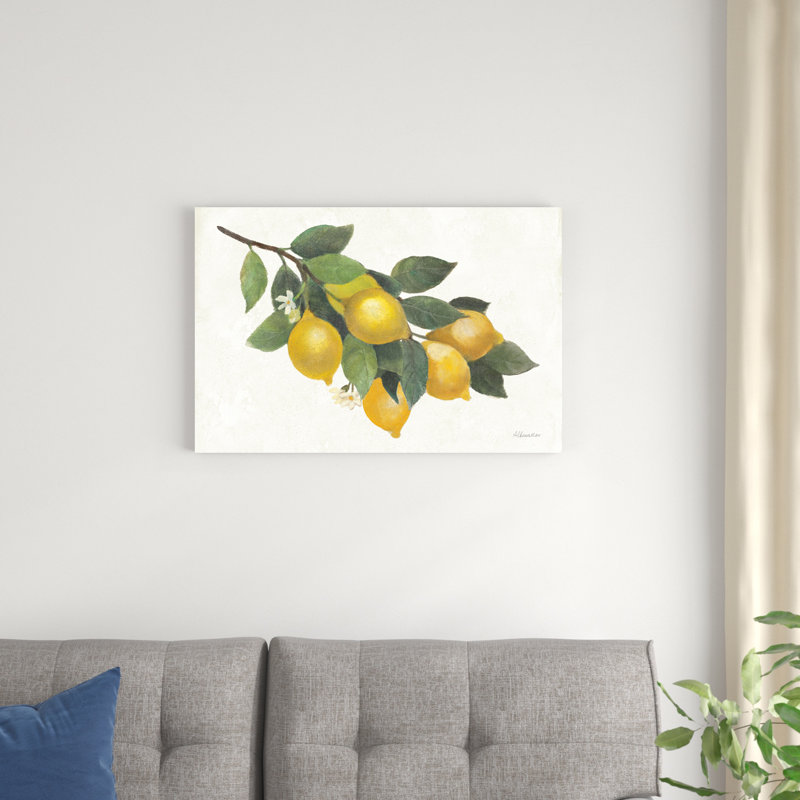 Citron I, H 20 po x l 30 po