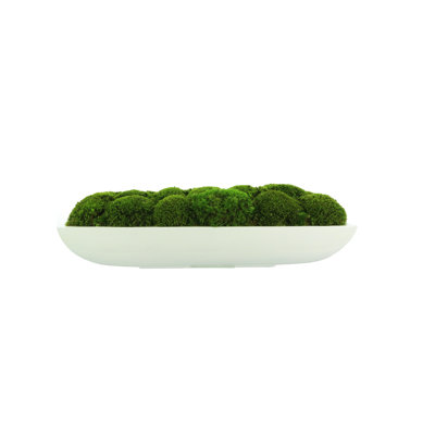 Moss Preserved in Oblong Planter