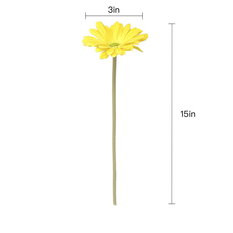 Marguerite artificielle, Jaune