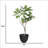 72.6'' Faux Fiddle Tree Tree in Pot