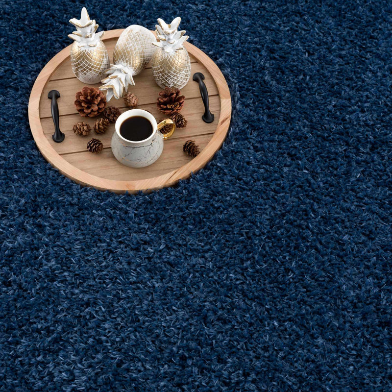 Basics by Wayfair™ Solid Shag Area Rug, Rectangle 5'3" x 7'