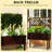 Spacious Wooden Planters With Trellis, Elevated Rustic Design For Home Gardens