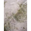 Tapis d'intérieur rectangulaire beige et vert abstrait en laine nouée à la main-2053206386