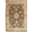 Oriental Area Rug in Brown/Cream
