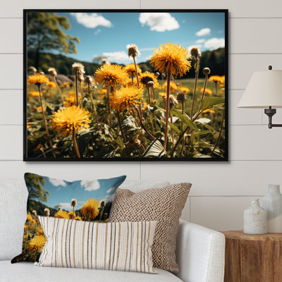 " Mountain Dandelion Field II "