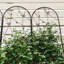 Ensemble de 2 treillis de jardin en métal 86,7 "x 19,7" antirouille pour plantes grimpantes support de fleurs extérieur noir