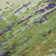 Machine Washable Indoor/Outdoor Xhevrie Green Rug