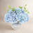 Keenum Hydrangea Floral Arrangement in Vase-1107215968