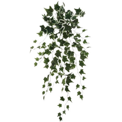 12 pièces de lierre suspendu panaché 36 "- 2025 Spring Collection