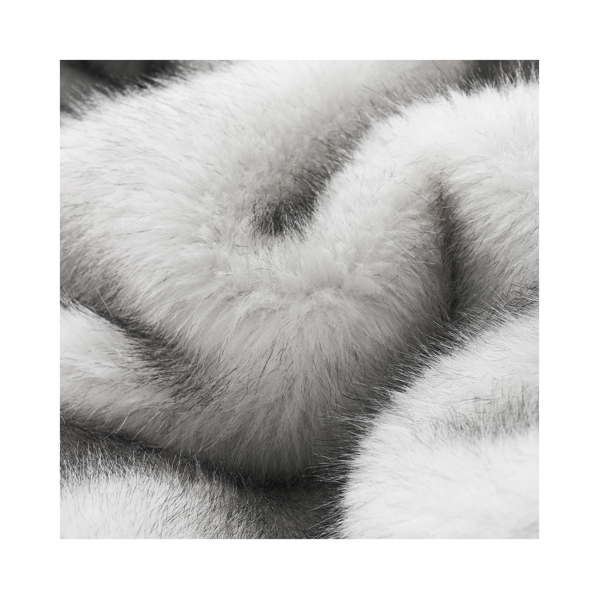 Luxe Faux Fur Throw Blanket, Throw, Frosted White Wolf Ombre