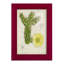 Cactus antique I - impression encadrée avec verre-481244041-481244040