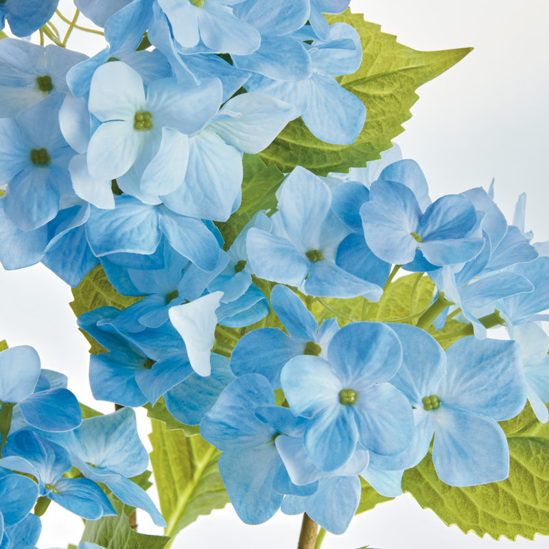 Hortensia à poser 18 po, Bleu clair