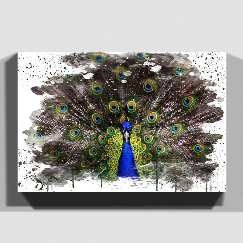 Peacock - Wall Art, 70cm H x 100cm W, Wrapped Canvas