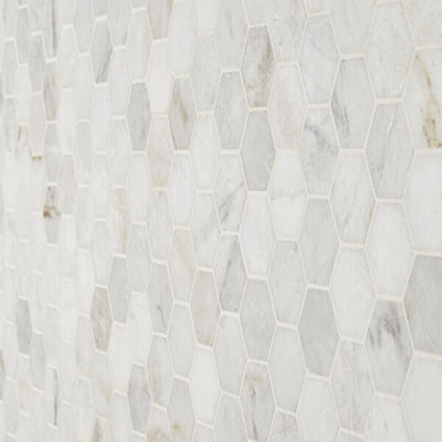 Alaska White Penny Round Polished Marble Tile