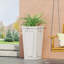 MGO PLANTER