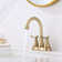 Centerset 2-handle Bathroom Faucet with Drain Assembly