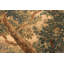 One-of-a-Kind Rectangle 8' X 11'4" Area Rug
