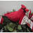 Cardinal Centerpiece