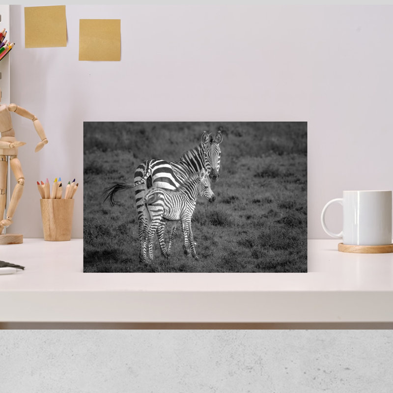 Mother And Foal Zebra Contemporary Zebra Nature Portrait Wall Art Print by Jeffrey C. Sink - 1 Piece Wrapped Canvas Wall Art