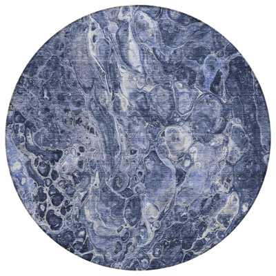 Radrrick Washable Indoor / Outdoor Rug