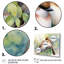 Birds of Spring III, reproduction d'art sur toile-1952333993-1952333992