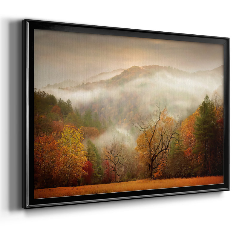 Photographie "Autumn Study Mist", reproduction d'art sur toile, H 30 po x l 44 po, Noir