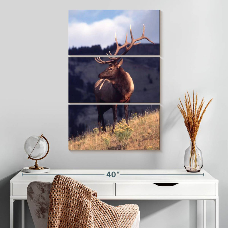 Brampt Montana Bull Elk, 32" H x 20" W