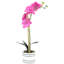 Orchidée rose et verte 18,5 "en pot