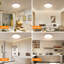 Cuayo LED Flush Mount