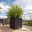 Moneak Planter Box-1391113114-1392064359