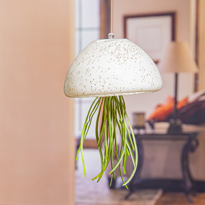 Rubab Glass Hanging Planter
