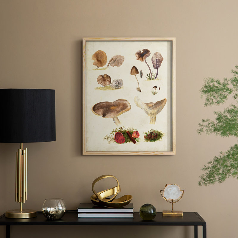 Reproduction encadrée Mushroom Species III - bois massif, H 30 po x l 24 po