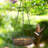 2Pcs Hanging Bird Feeder Tray