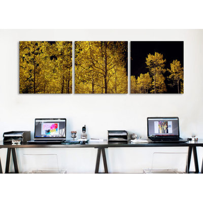 " Aspen Trees In Autumn, Colorado, USA #3 " by Panoramic Images