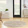 Robbe Abstract Area Rug