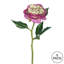 Tige de pivoine artificielle-23353350