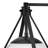 Lark Colby Wall Sconce-101119795