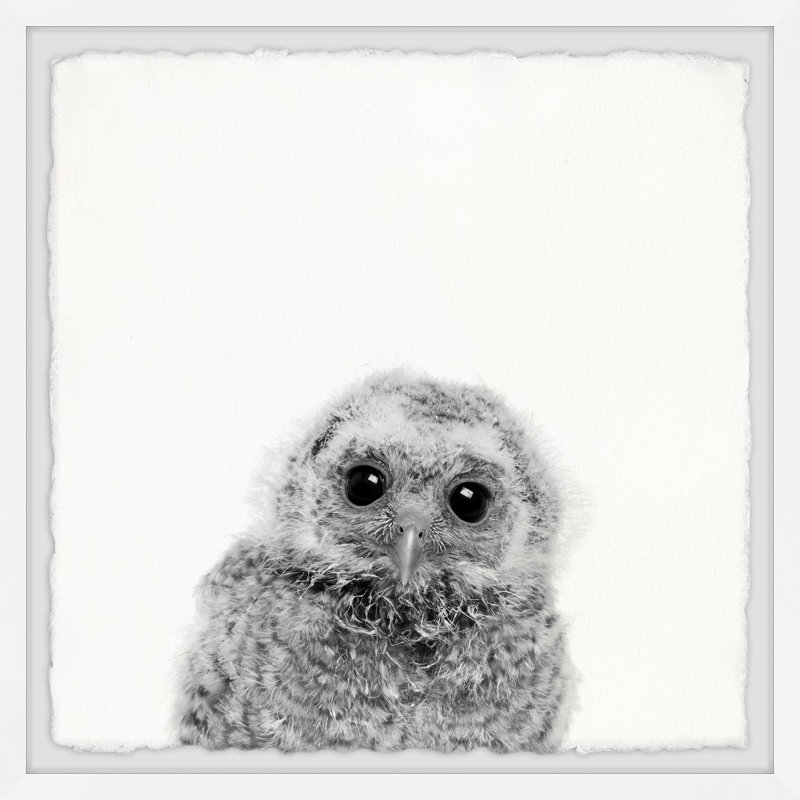 Those Big Eyes by Marmont Hill - Single Picture Frame Print, 41cm H x 41cm W x 3.81cm D