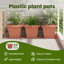 Planter-1849224915-1849224924-1849224925