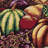 Marcelino Cotton Floral Indoor Rug