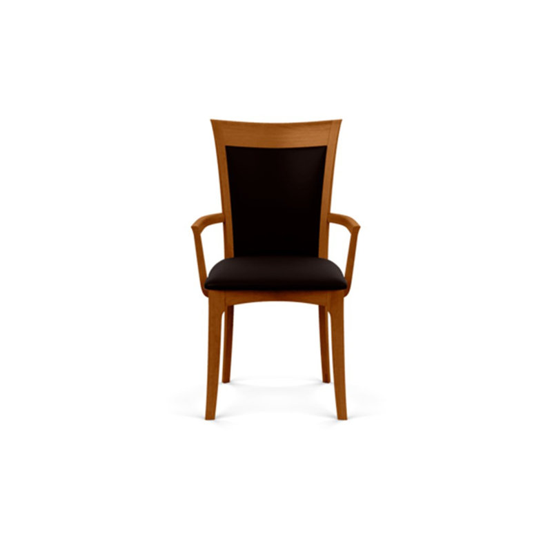 Morgan 19.25'' H Upholstered Armchair, Autumn Cherry, Ebony
