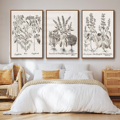 " Sepia Besler Botanicals I " 3 - Pieces