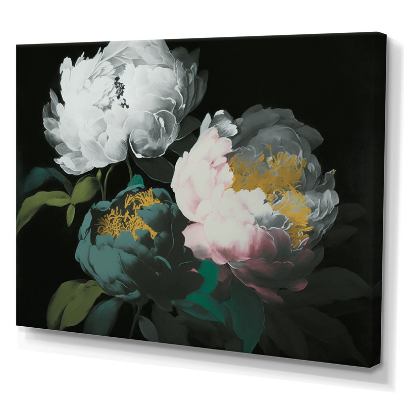 «White Blossoming Peony on Black II», reproduction sur toile, L 32 po x H 16 po, Toile tendue