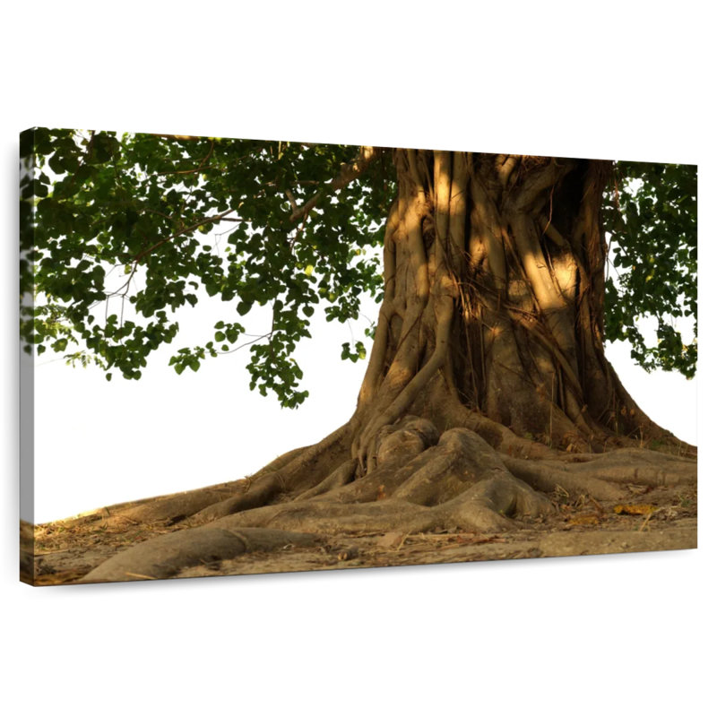 Harnek Bodhi Tree, 34" H x 51" W